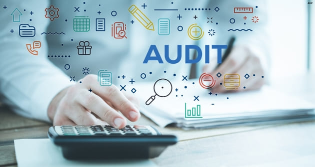    Audit Services